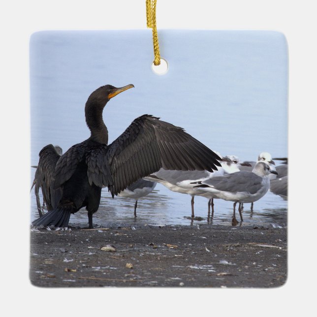 Cormorant and Seagulls Ornament  (Vorderseite)