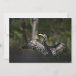 Cormorant Natur Foto Card