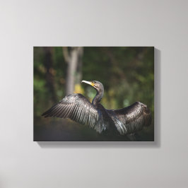 Cormorant Nature Foto Leinwanddruck