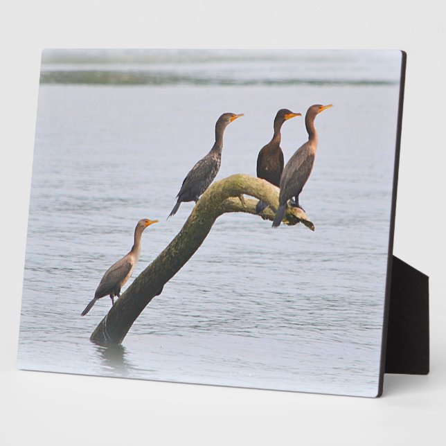 Cormorant Plaque Fotoplatte (Seite)