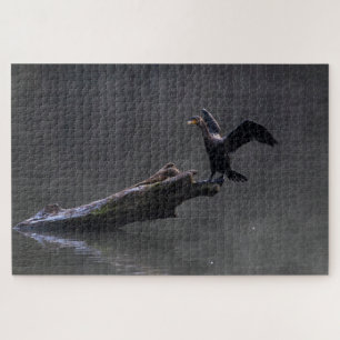 Cormorant Puzzle
