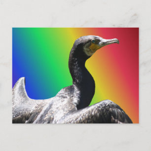 Cormorant Rainbow DIY Postkarte