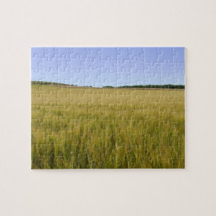 Corn Field Jigsaw Puzzle