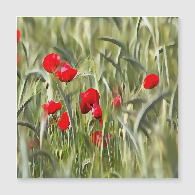Corn Poppies Magnetkarte (Vorderseite)