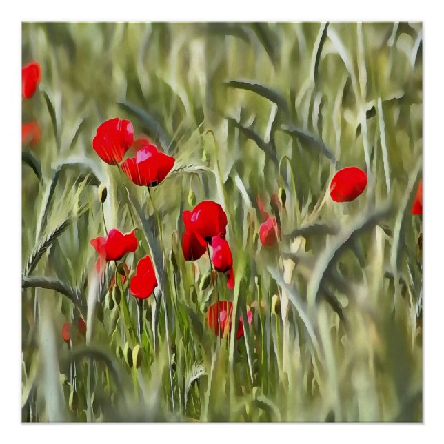 Corn Poppies Poster (Vorderseite)