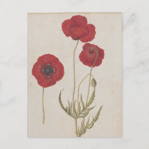 Corn Poppies von Jacques de Morgues Postkarte