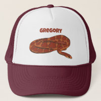 Corn Snake Orange Red Realistisch Personalisiert