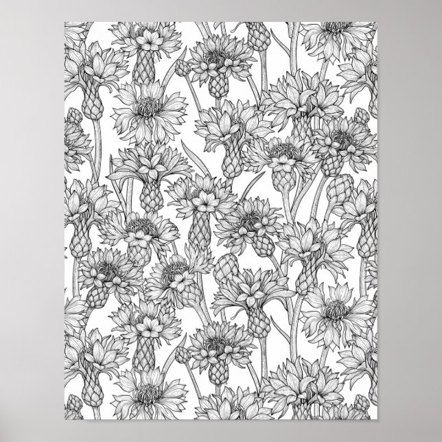 Cornblumen, Blume in Schwarz und Weiß Poster (Vorne)