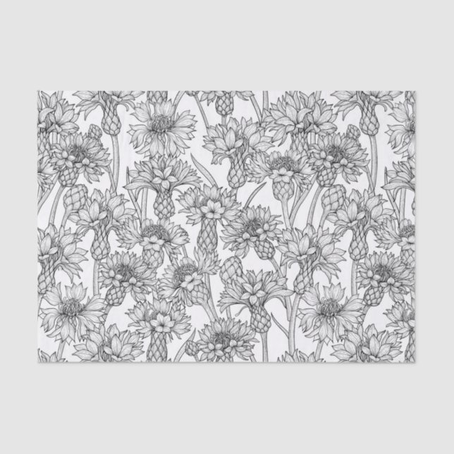 Cornblumen, Blume in Schwarz und Weiß Seidenpapier (Vorderseite)