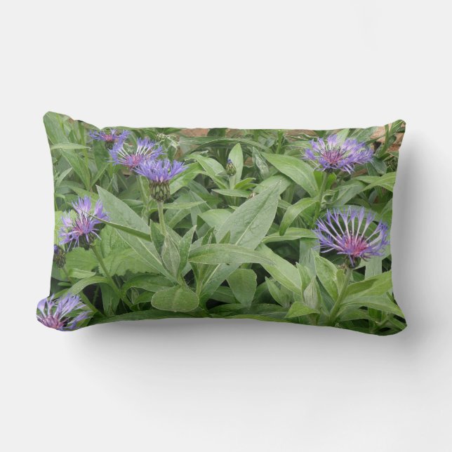 Cornblumen Pillow Lendenkissen (Vorderseite)