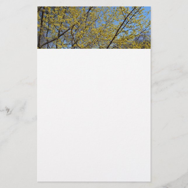 Cornelian Cherry Dogwood und Blue Sky Floral Briefpapier (Vorderseite)