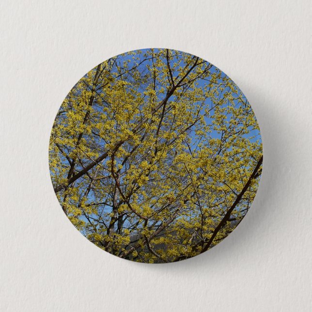Cornelian Cherry Dogwood und Blue Sky Floral Button (Vorderseite)
