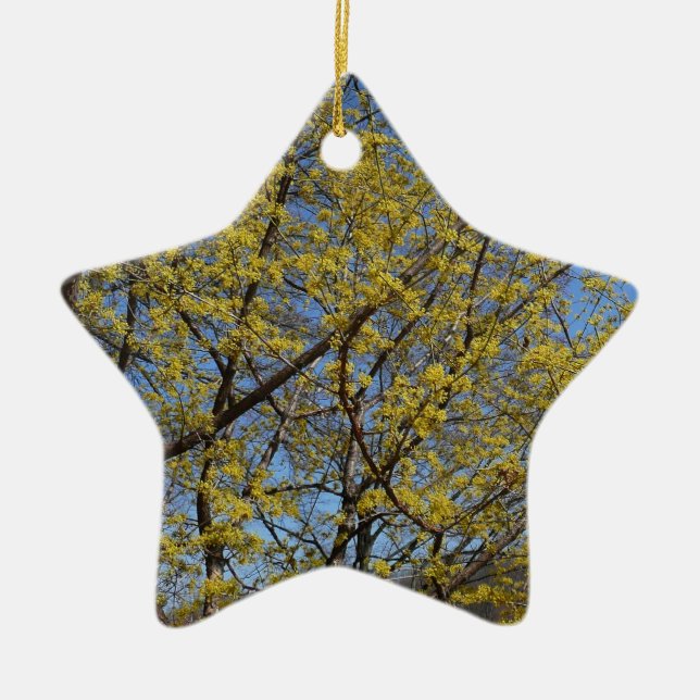 Cornelian Cherry Dogwood und Blue Sky Floral Keramikornament (Vorne)