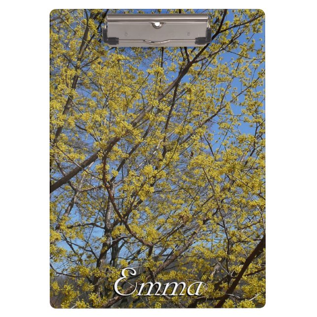 Cornelian Cherry Dogwood und Blue Sky Floral Klemmbrett (Vorderseite)