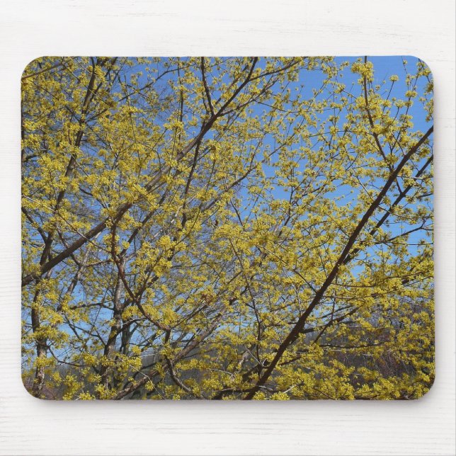 Cornelian Cherry Dogwood und Blue Sky Floral Mousepad (Vorne)