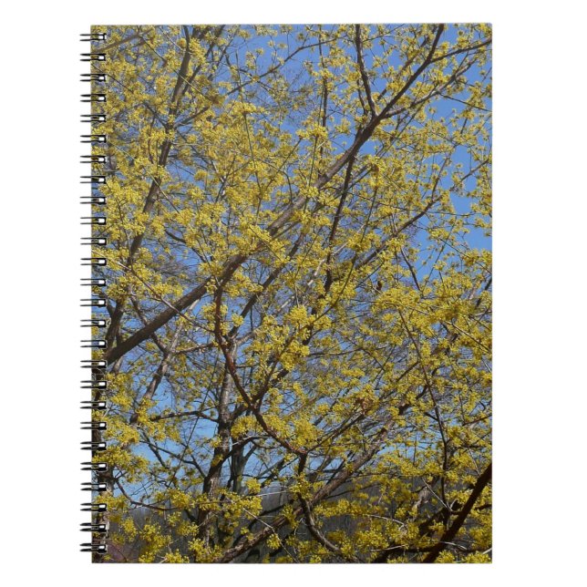 Cornelian Cherry Dogwood und Blue Sky Floral Notizblock (Vorderseite)