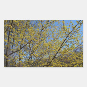 Cornelian Cherry Dogwood und Blue Sky Floral Rechteckiger Aufkleber
