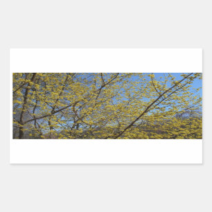 Cornelian Cherry Dogwood und Blue Sky Floral Rechteckiger Aufkleber