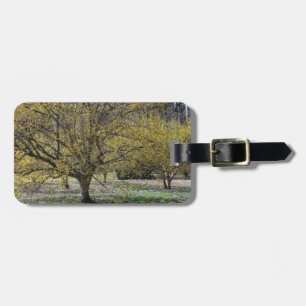 Cornelian Cherry Dogwood und Glory of the Snow Gepäckanhänger