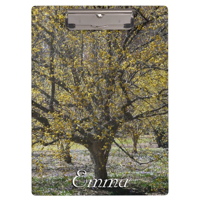 Cornelian Cherry Dogwood und Glory of the Snow Klemmbrett (Vorderseite)