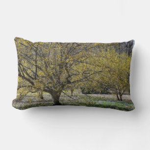 Cornelian Cherry Dogwood und Glory of the Snow Lendenkissen