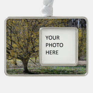Cornelian Cherry Dogwood und Glory of the Snow Rahmen-Ornament Silber