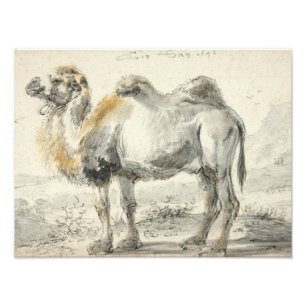 Cornelis Saftleven - A Camel Fotodruck