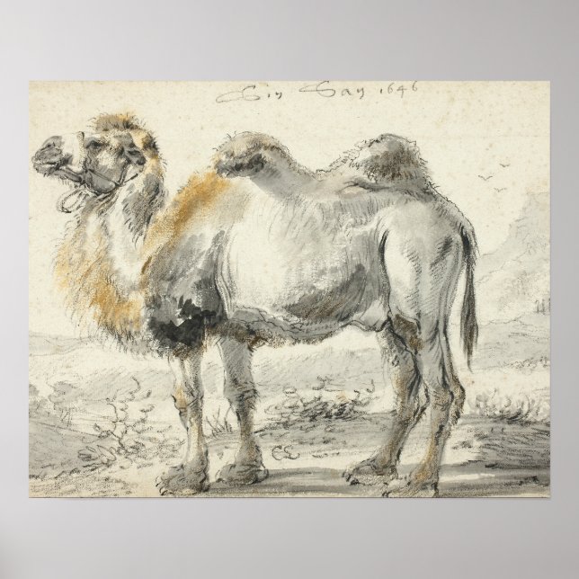 Cornelis Saftleven - A Camel Poster (Vorne)