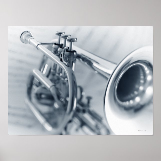 Cornet on Music Sheets Poster (Vorne)