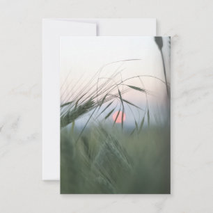 Cornfield Nature Foto Card RSVP Karte