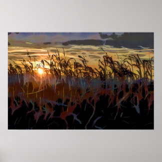 Cornfield-Sonnenaufgang Poster