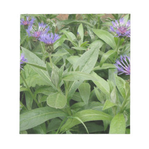 Cornflores Notepad Notizblock