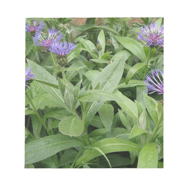 Cornflores Notepad Notizblock (Vorderseite)