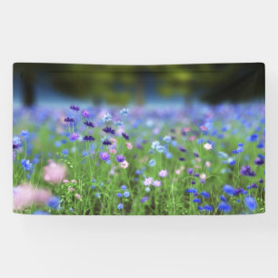Cornflower Blue Banner