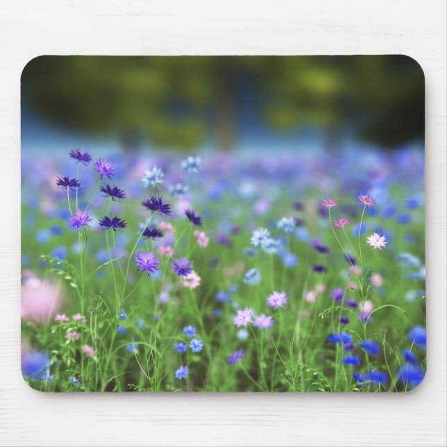 Cornflower Blue Mousepad (Vorne)