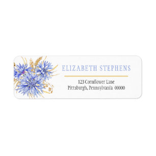 Cornflower Blue Wildblumen Blume