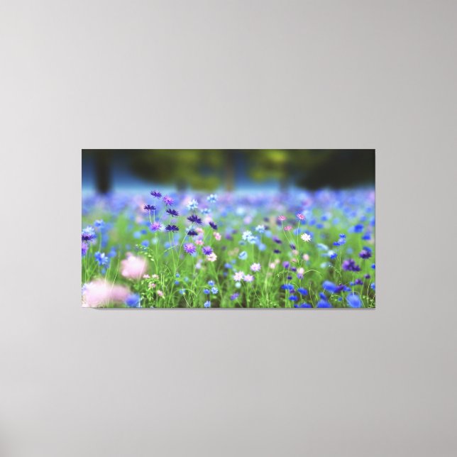 Cornflower Blue Wrapped Canvas Leinwanddruck (Vorderseite)