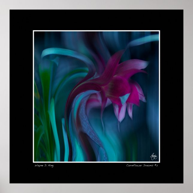 Cornflower Dreams #2 Poster (Vorne)
