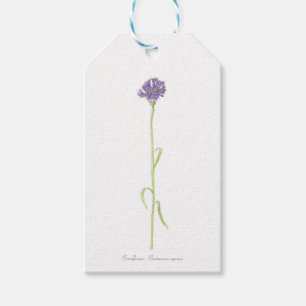 Cornflower Geschenkanhänger