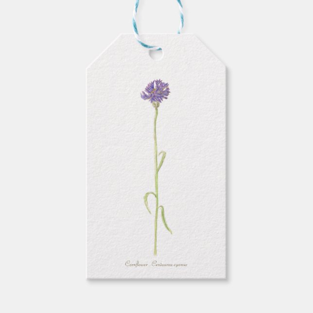 Cornflower Geschenkanhänger (Vorderseite)