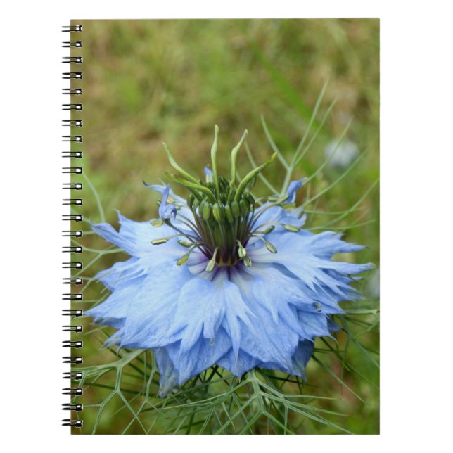 Cornflower Spiral Foto Notebook Notizblock (Vorderseite)