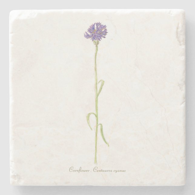 Cornflower Steinuntersetzer (Vorderseite)