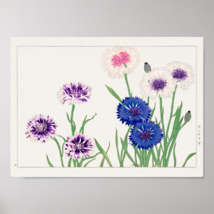 Cornflower von Tanigami Konan Poster