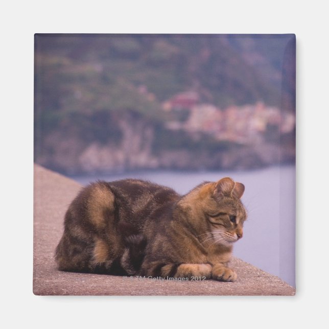 Corniglia, Cinque Terre, Italien Magnet (Vorne)