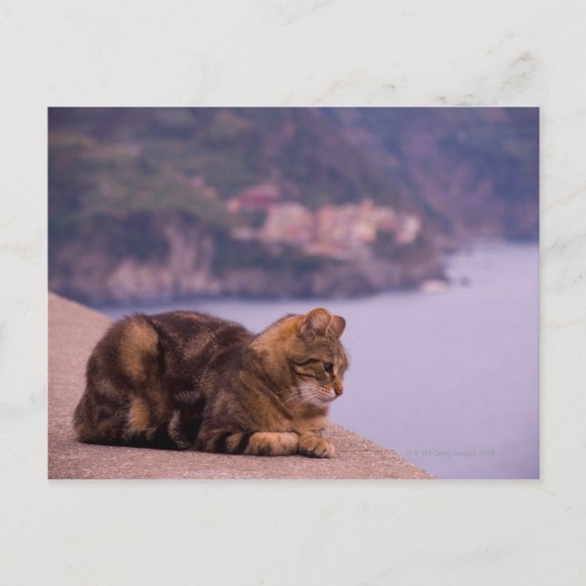 Corniglia, Cinque Terre, Italien Postkarte (Vorderseite)