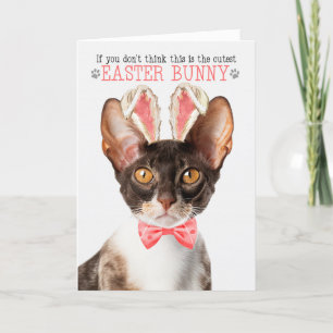 Cornish Rex Cat in Bunny Easter Feiertagskarte
