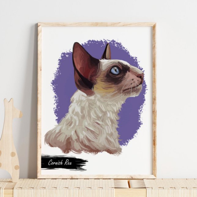 Cornish Rex Cat Print | Cat Wall Print Poster (Von Creator hochgeladen)