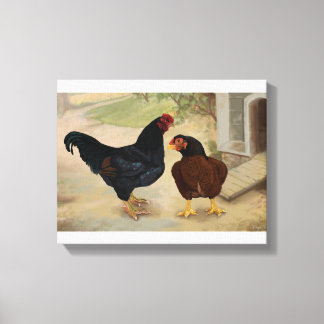 Cornish Rooster und Hen Leinwanddruck