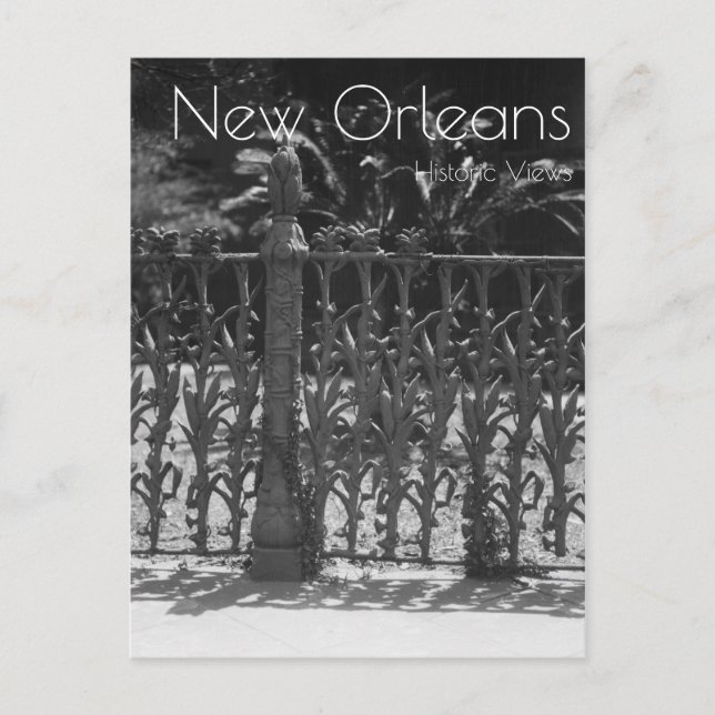 Cornstalk Wrotish Iron Fence Postkarte (Vorderseite)