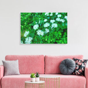 Cornus sanguinea leinwanddruck